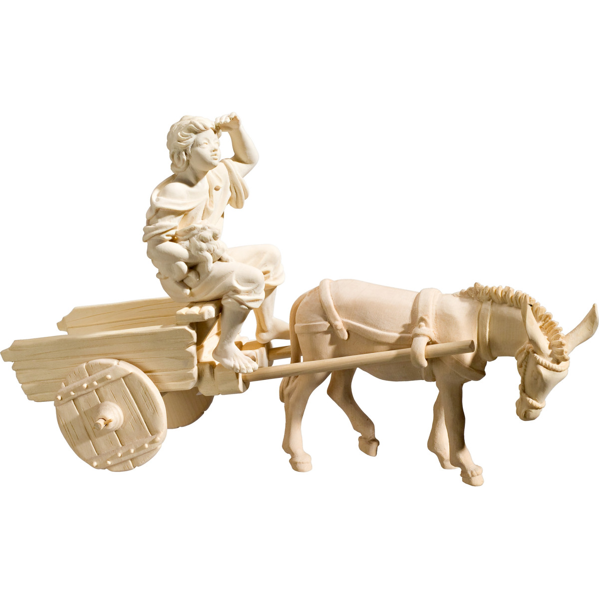 Burro con carro y pastor